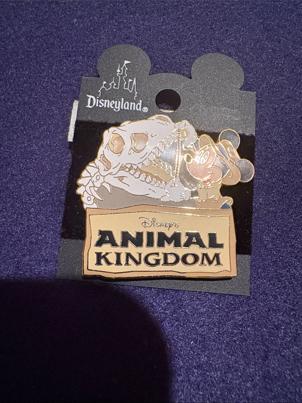 Disneyland Animal Kingdom Pin on backing card